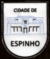 /album/galeria-de-fotos/espinho-jpg/